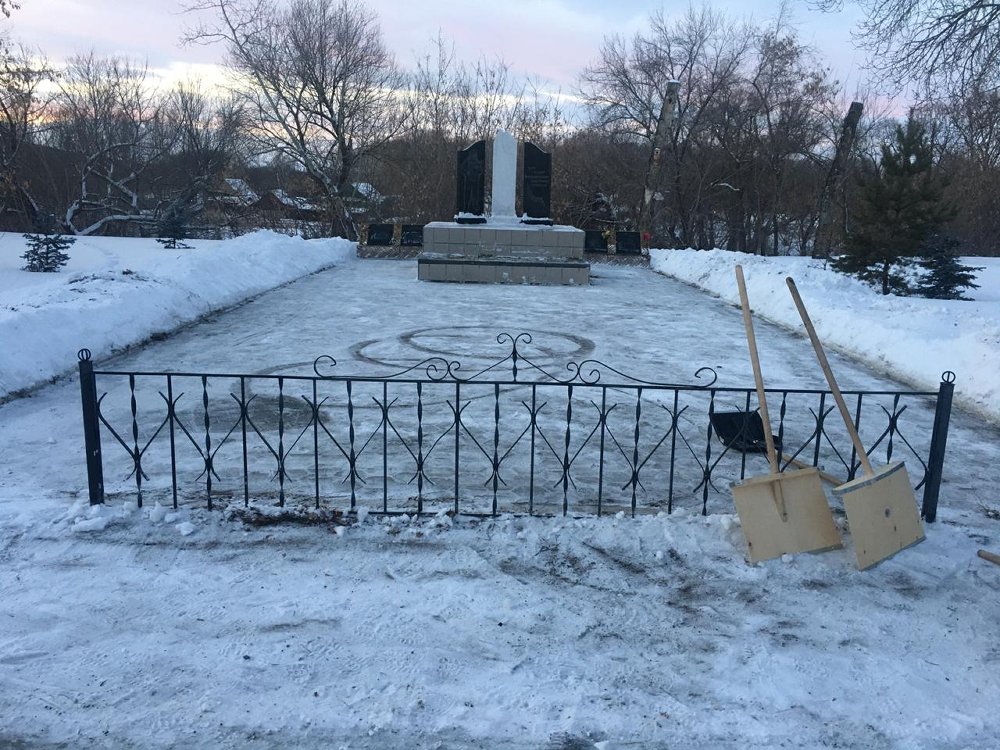 День памяти воинов