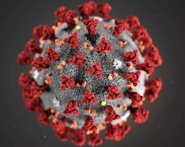 Меры профилактики по новой коронавирусной инфекции
