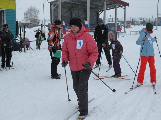 Фестиваль «Спортивная семья».