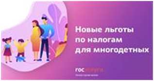 Многодетные семьи Челябинской области имеют право на получение дополнительных льгот по налогу на имущество и земельные участки