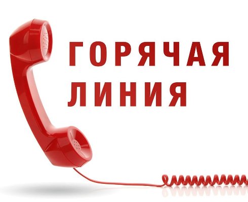 Горячие линии по выплатам на детей от 8 до 17 лет будут работать в майские праздники