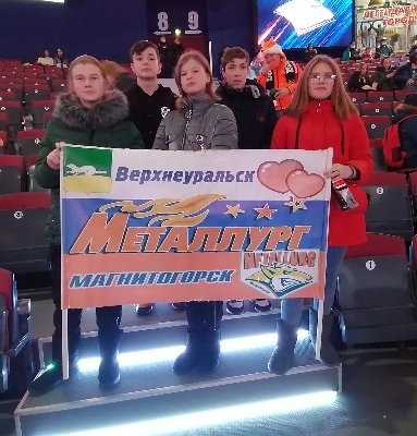 Поездка на хоккейный матч