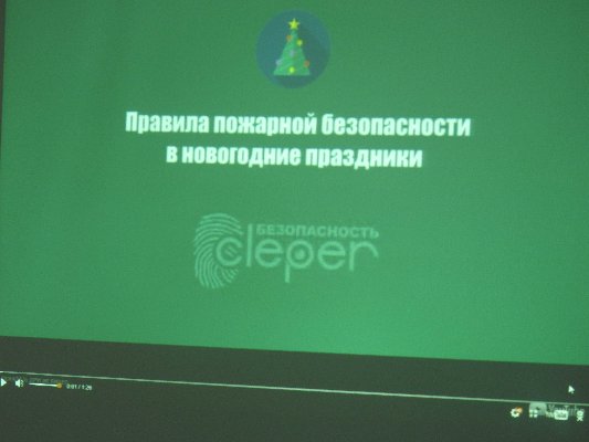 Пожарная безопасность в новогодние праздники