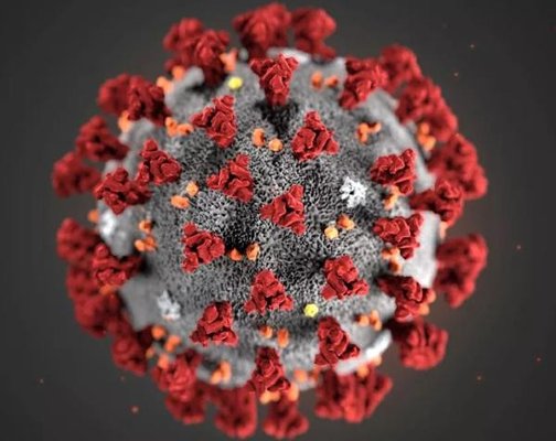 Меры профилактики по новой коронавирусной инфекции
