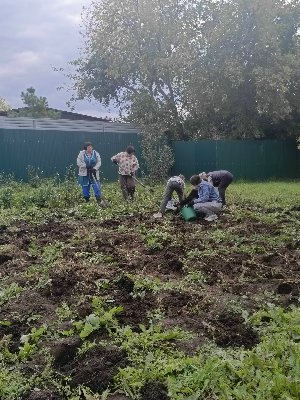 Осень- пора сбора урожая