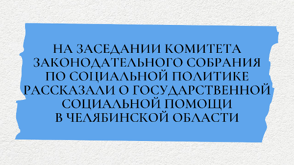 На заседании комитета Законодательного Собрания по социальной политике рассказали о государственной социальной помощи в Челябинской области